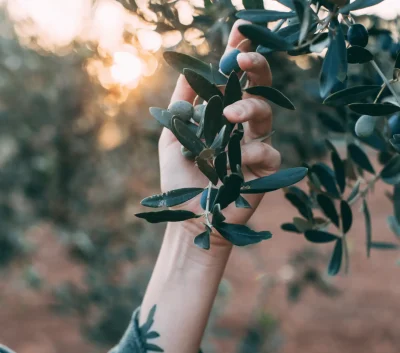 Agricultura Ecológica